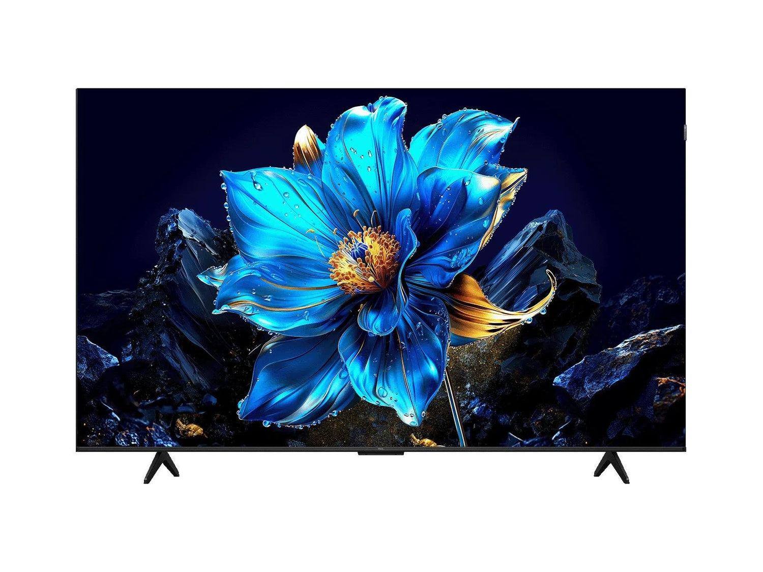 Digital TV