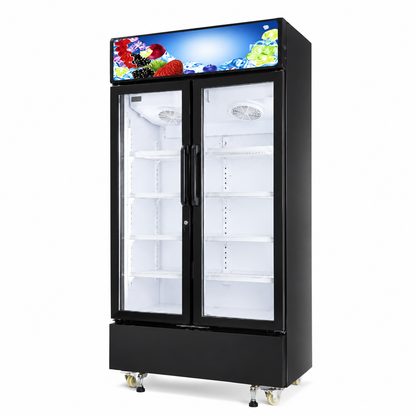 ROCH Chiller RSF-680-O 505L Vertical Showcase Refrigerator – Side By Side Glass Door Display Chiller