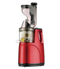 Rebune Juicer  Heavy Commercial Slow Juicer Juice Extractor Machine RE-2-080