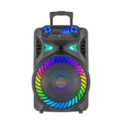 Euroken Speaker KOLAV-F1215 12 Inches PA system speaker party bluetooth professional large bluetooth speaker Black