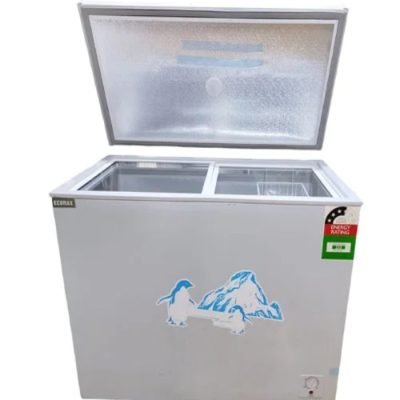 Ecomax Freezer 219L BD-219
