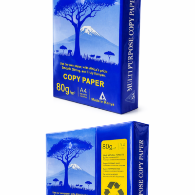 A4 Multipurpose Copy Paper 80gsm Premium Printing Paper, Smooth White Office Paper, 500 Sheets Ream